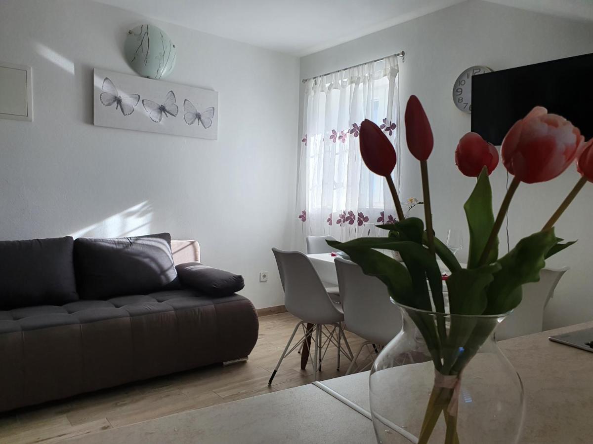 Apartaments Ukic 普维克瑟普瑞内 外观 照片